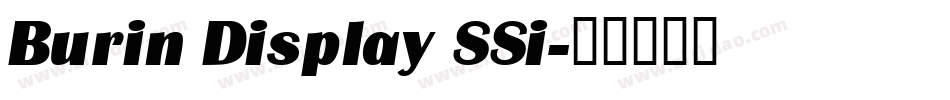 Burin Display SSi字体转换